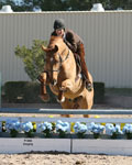 T_Jumper-2.jpg